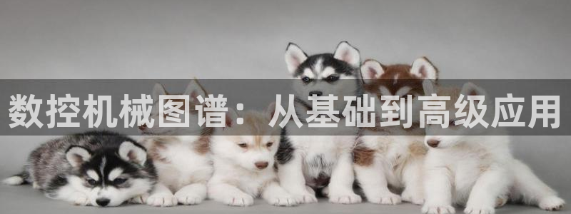天辰娱乐跑的快:数控机械图谱:从基础到高级应用