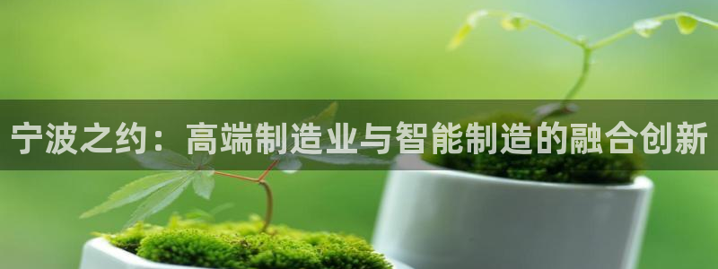 天辰娱乐十分彩:宁波之约:高端制造业与智能制造的融合创新