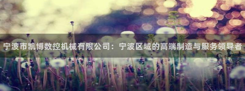 天辰娱乐彩票:宁波市凯博数控机械有限公司:宁波区域的高端制造与服务领导者