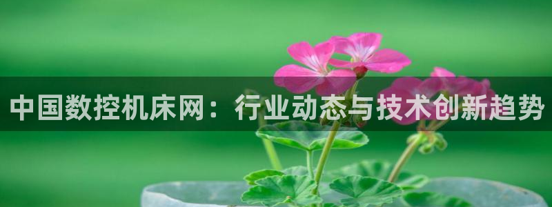 天辰娱乐怎么样:中国数控机床网:行业动态与技术创新趋势